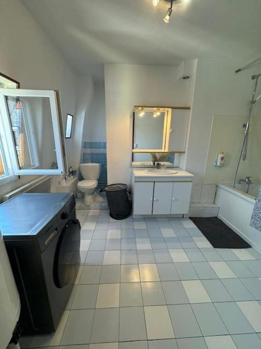 דיז'ון Appartement De Charme Hyper Centre מראה חיצוני תמונה